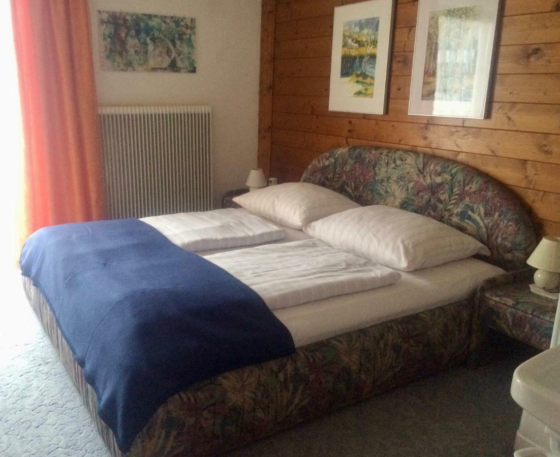 Salchegger Apartment Flachau